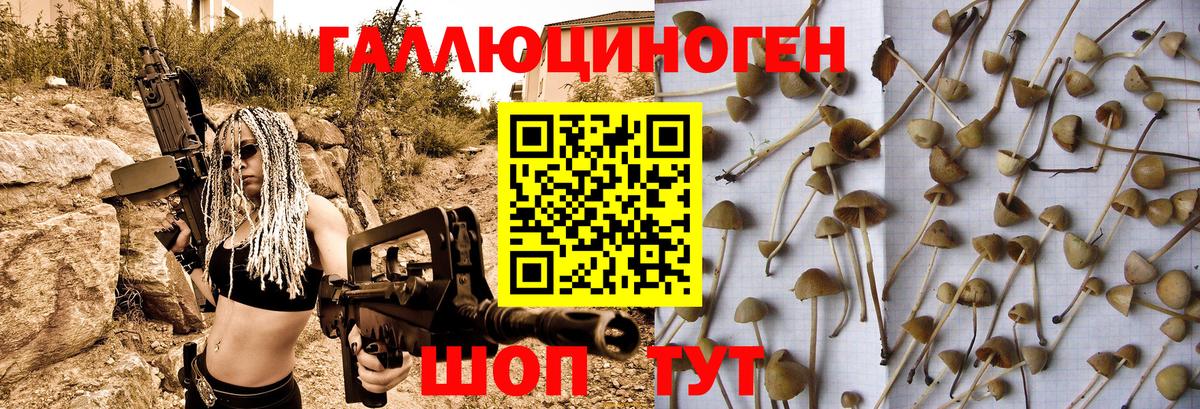 Можга  Псилоцибиновые грибы мухоморы  Вход с VPN  Псилоцибиновые грибы Cubensis 